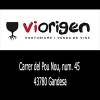 ViOrigen